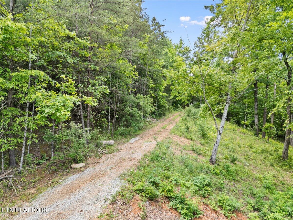 Shanghai Landing Lane Lafollette TN 37766