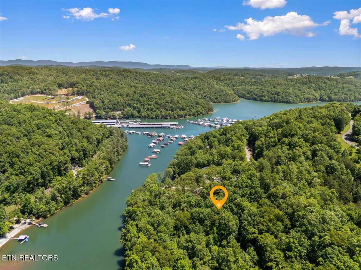 Shanghai Landing Lane Lafollette TN 37766