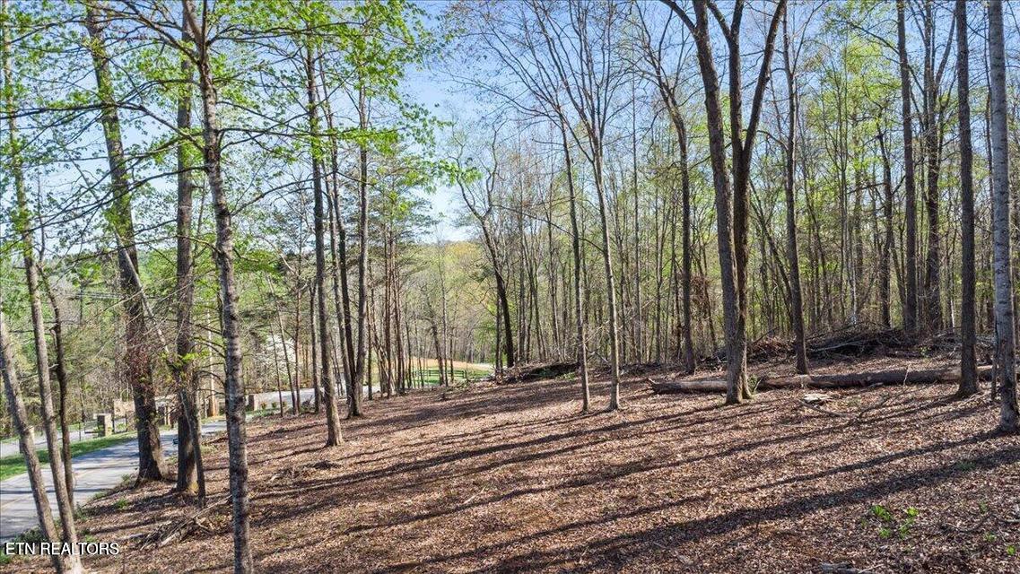 Demory Road Lafollette TN 37766