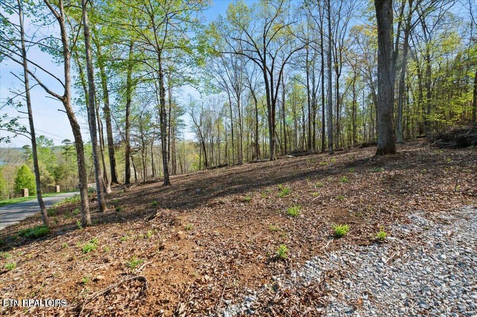 Demory Road Lafollette TN 37766