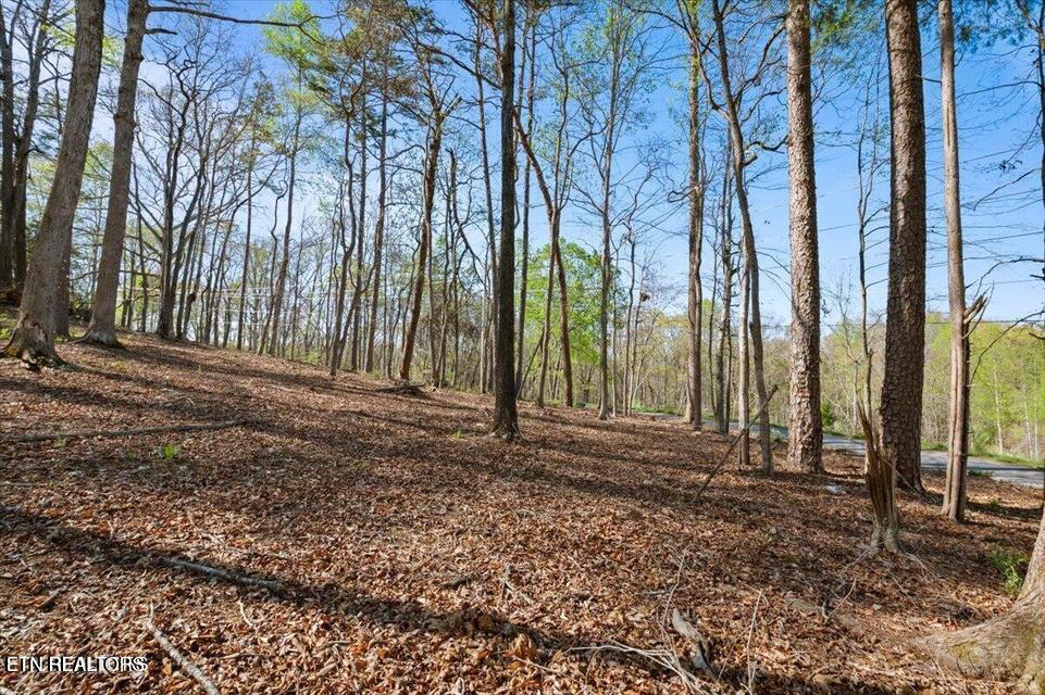 Demory Road Lafollette TN 37766