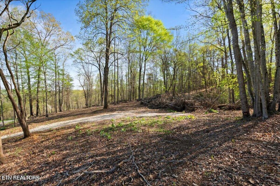 Demory Road Lafollette TN 37766