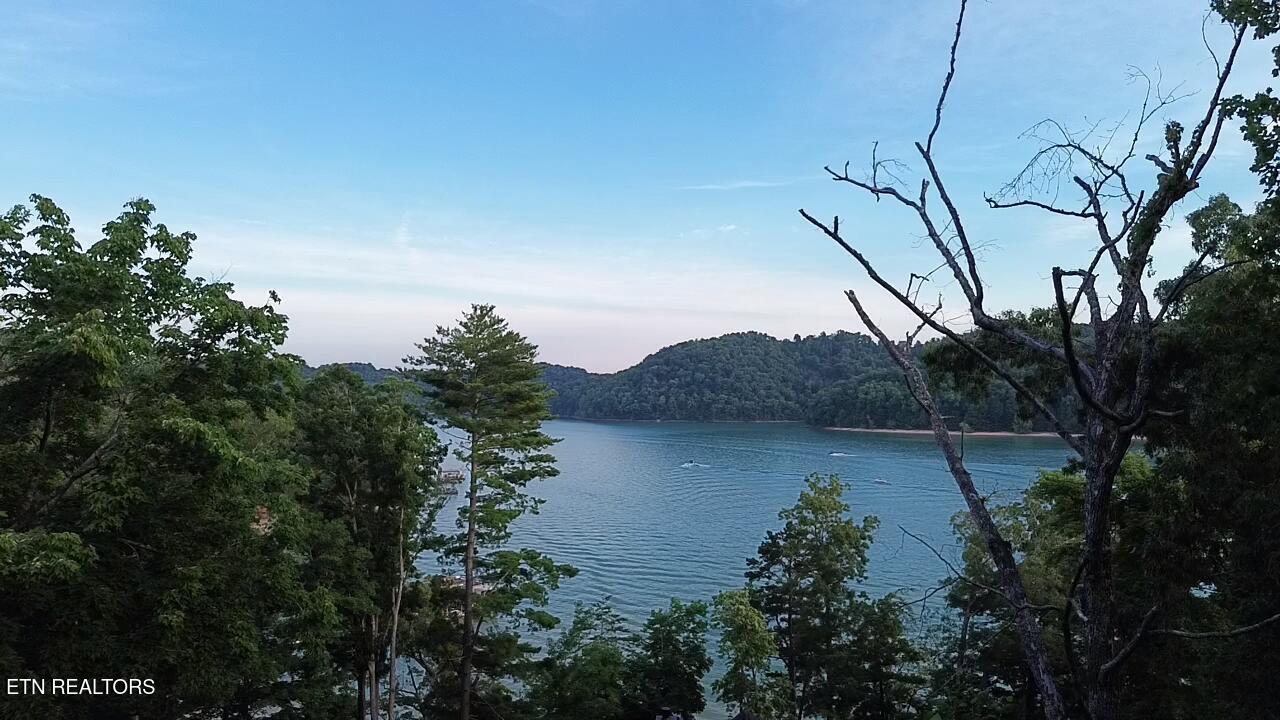 Cove Pointe Road Lafollette TN 37766
