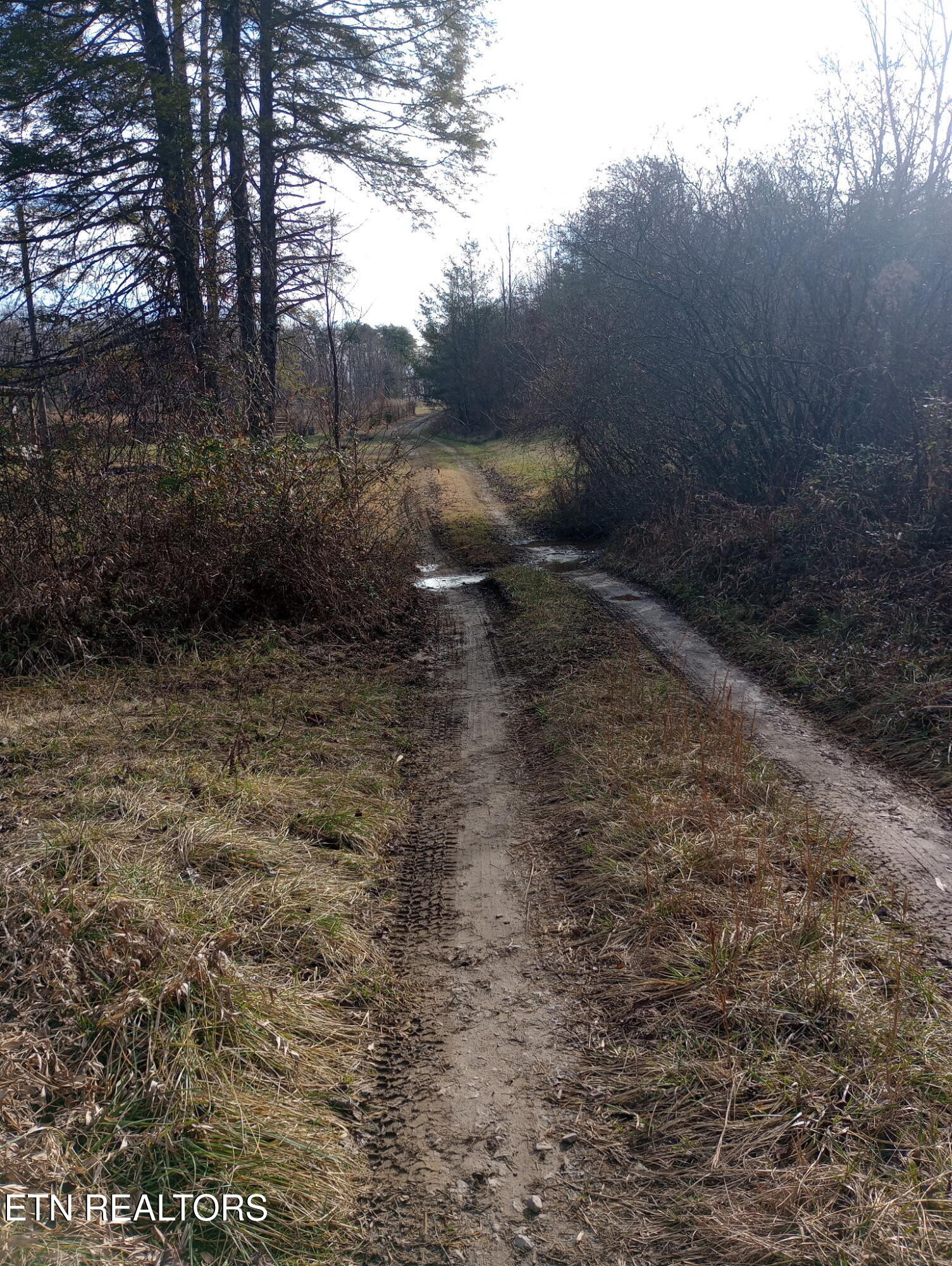 Allen Burgess Road Crossville TN 38572