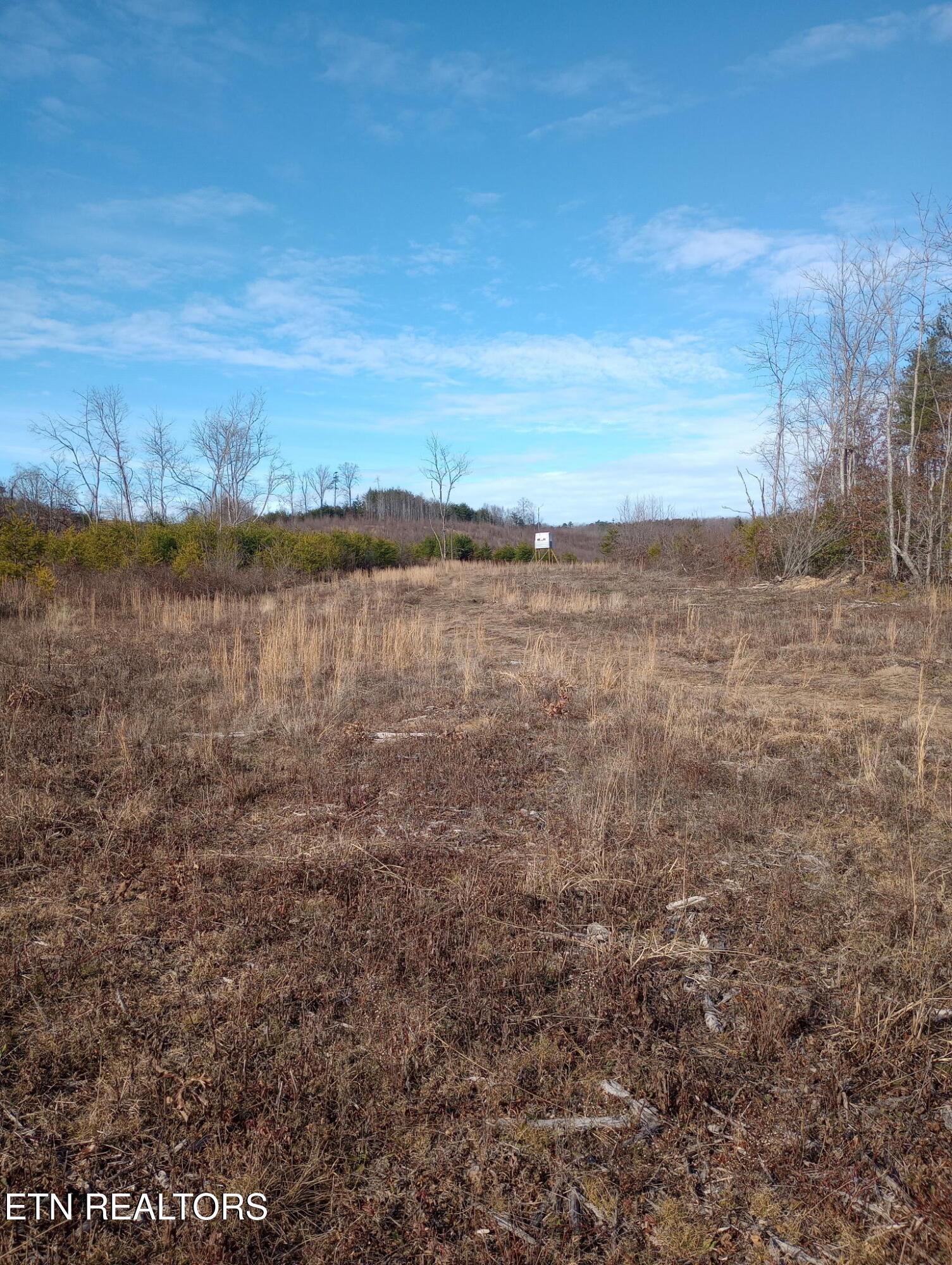 Allen Burgess Road Crossville TN 38572