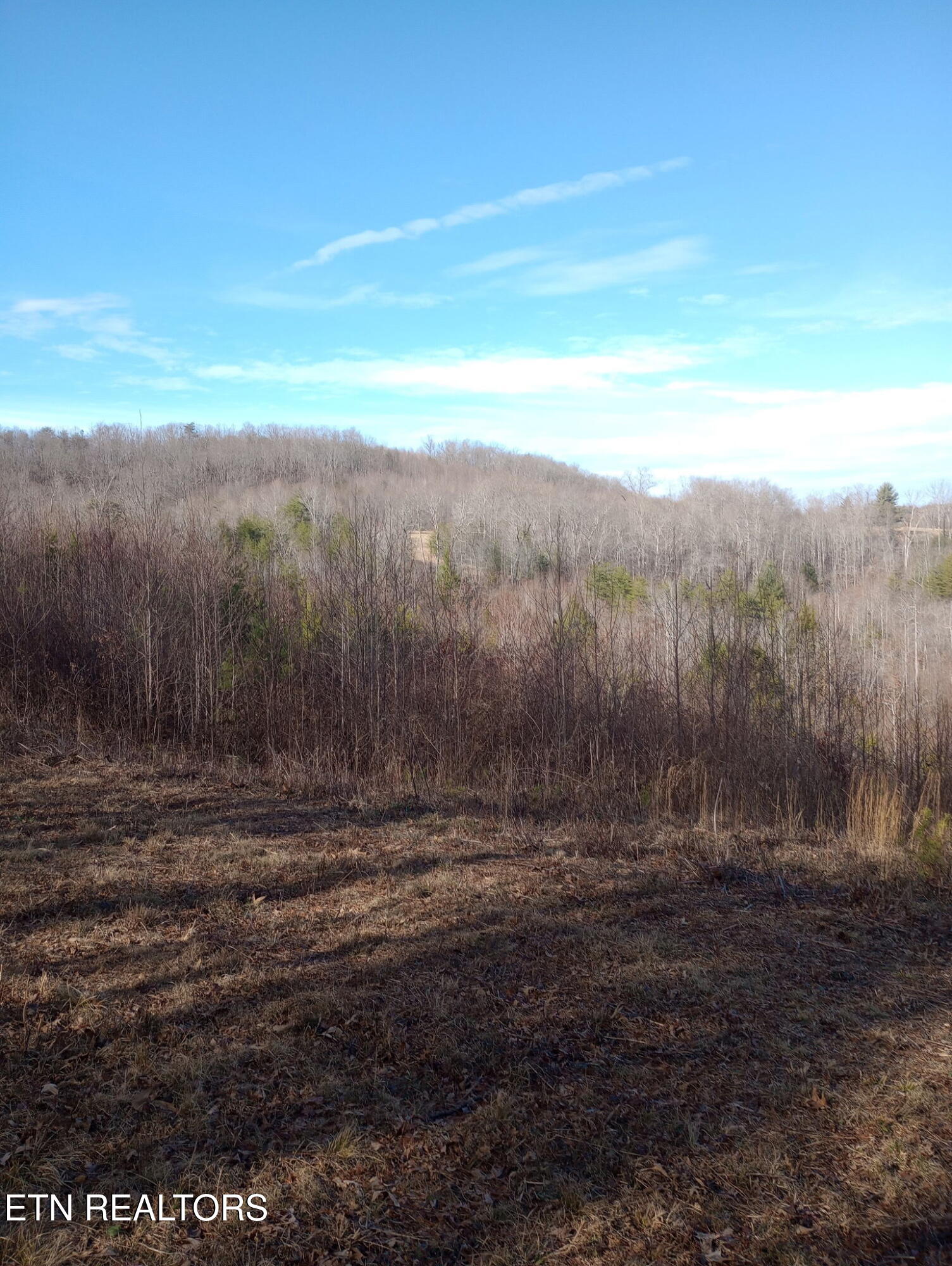 Allen Burgess Road Crossville TN 38572