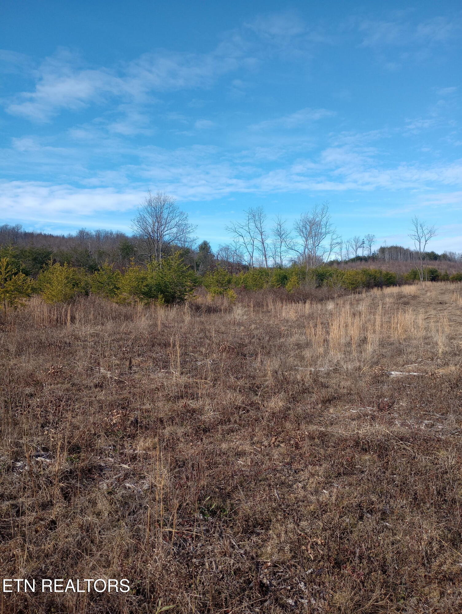 Allen Burgess Road Crossville TN 38572