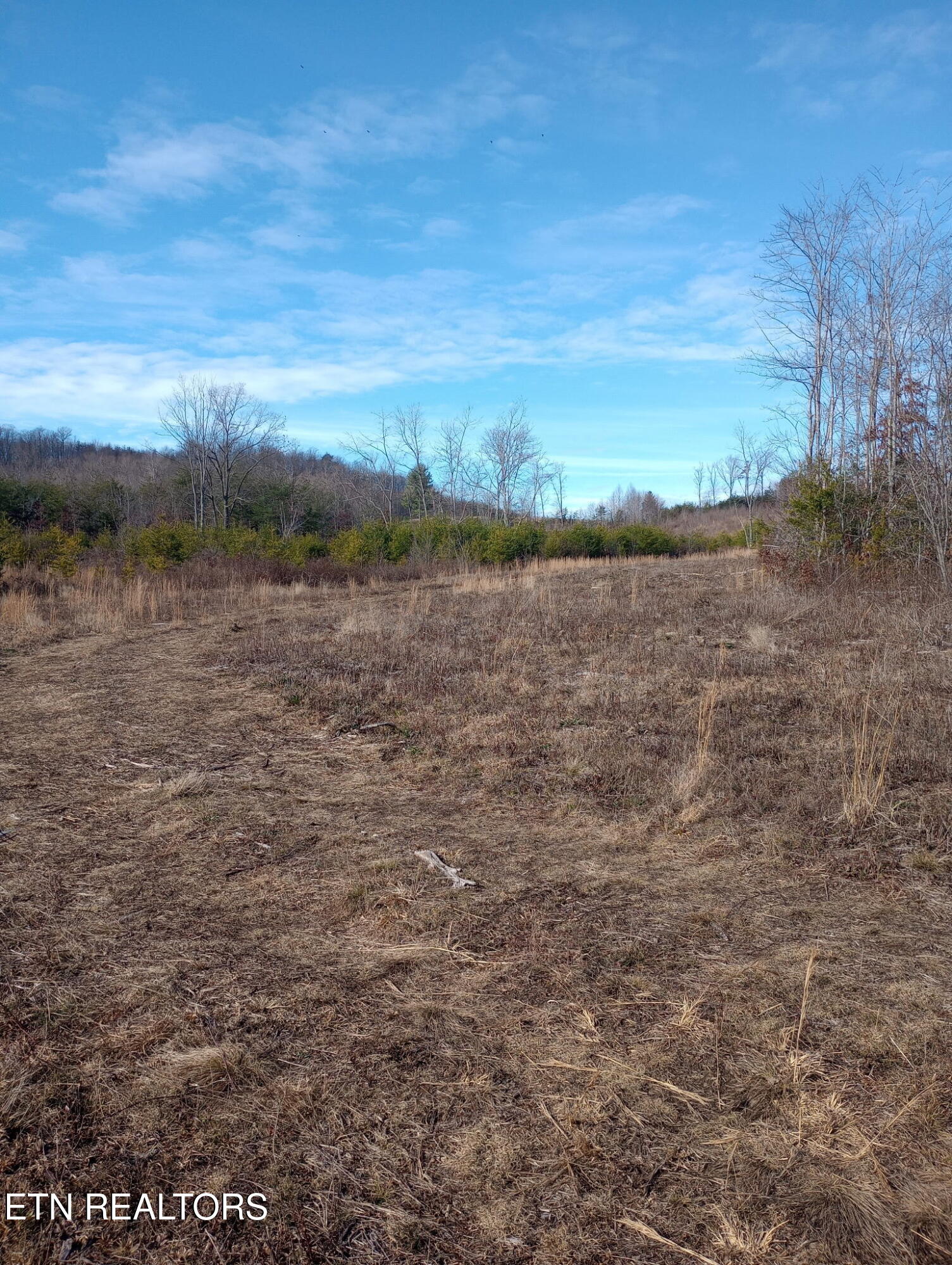Allen Burgess Road Crossville TN 38572