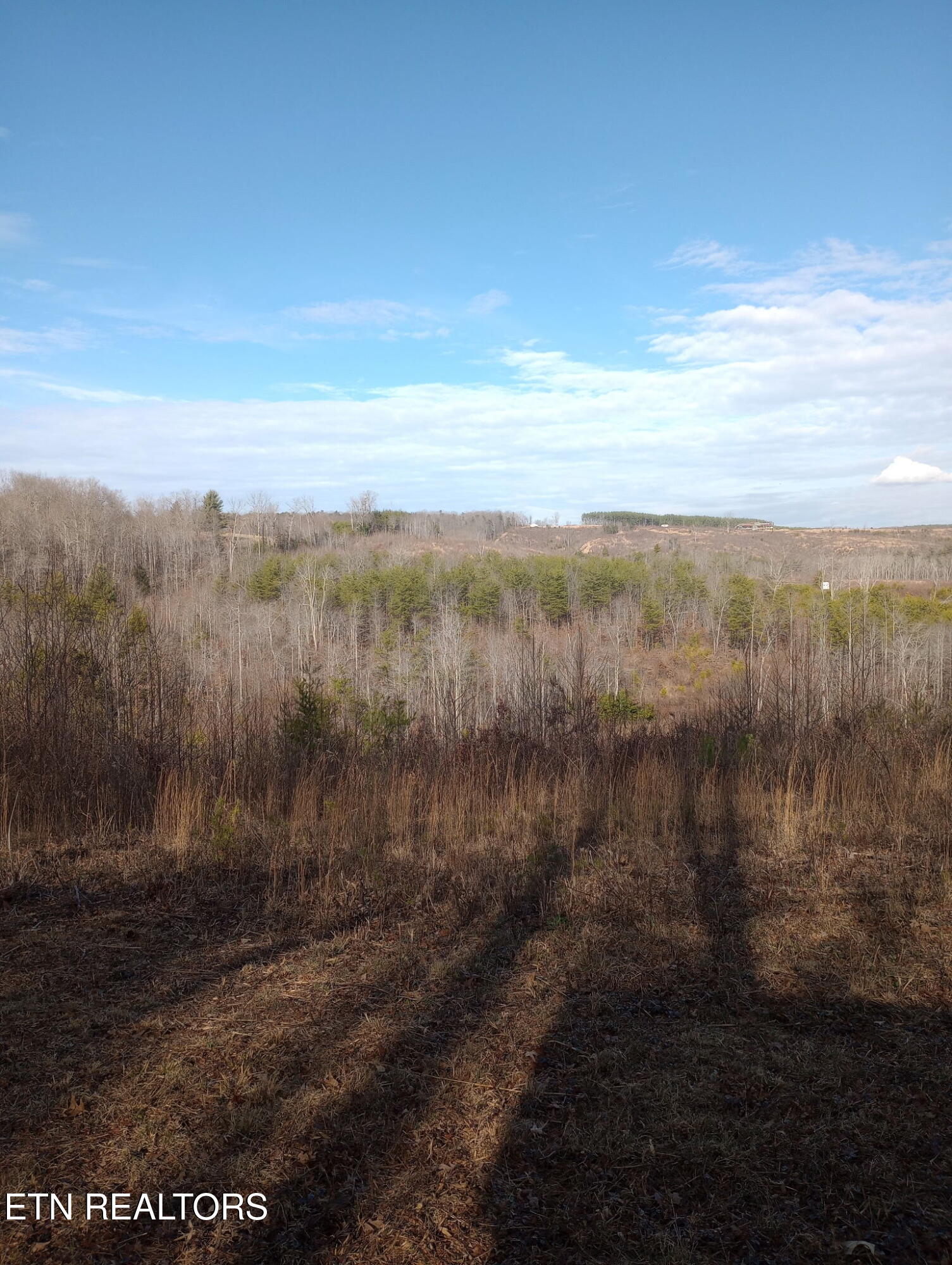 Allen Burgess Road Crossville TN 38572