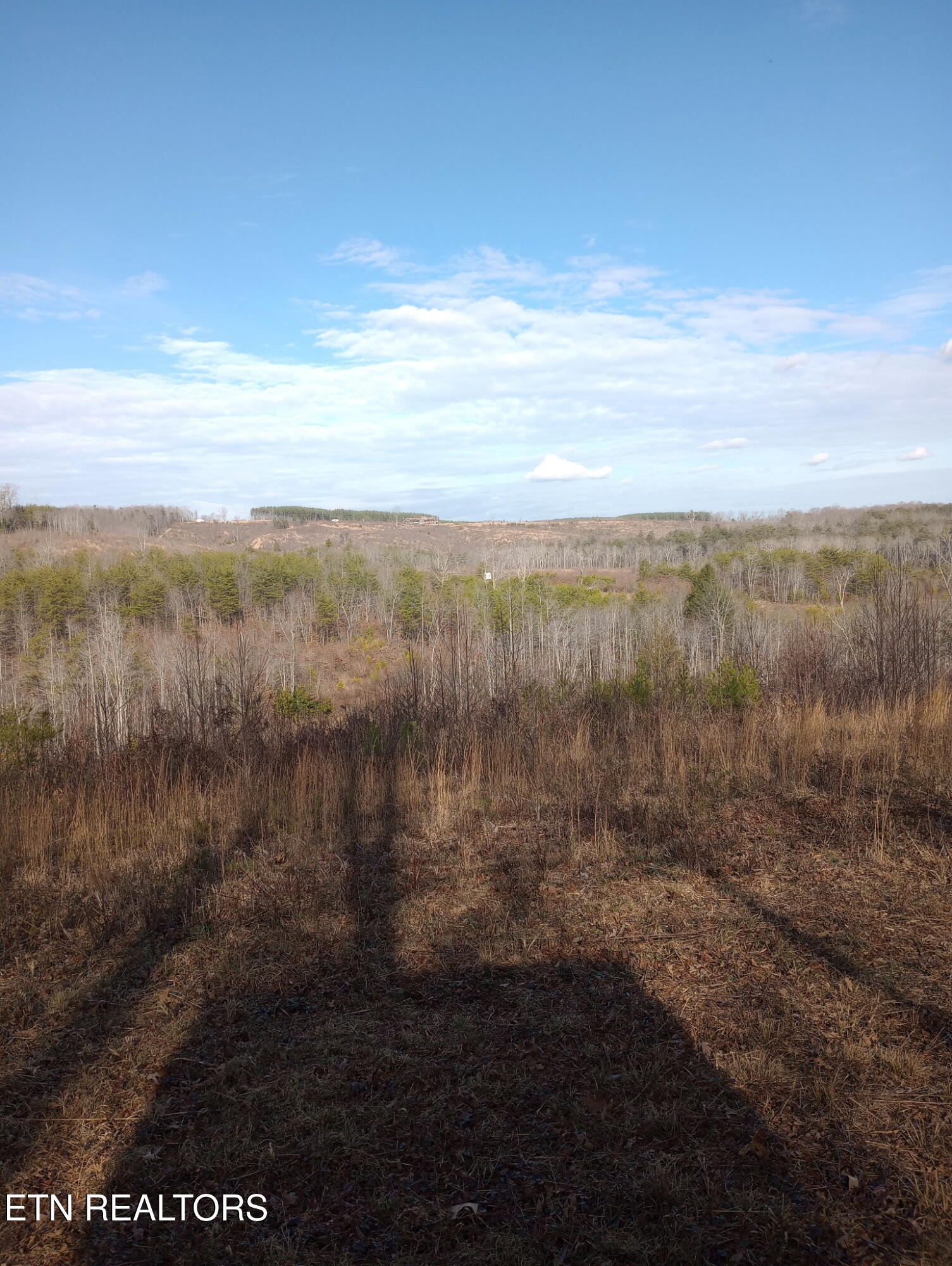 Allen Burgess Road Crossville TN 38572
