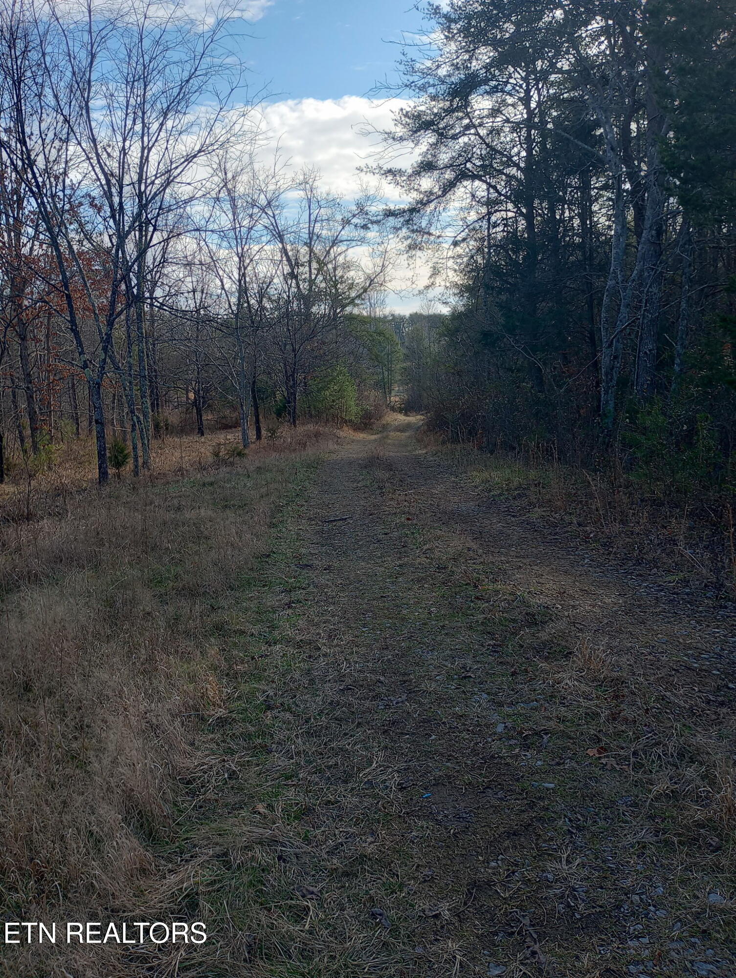 Allen Burgess Road Crossville TN 38572