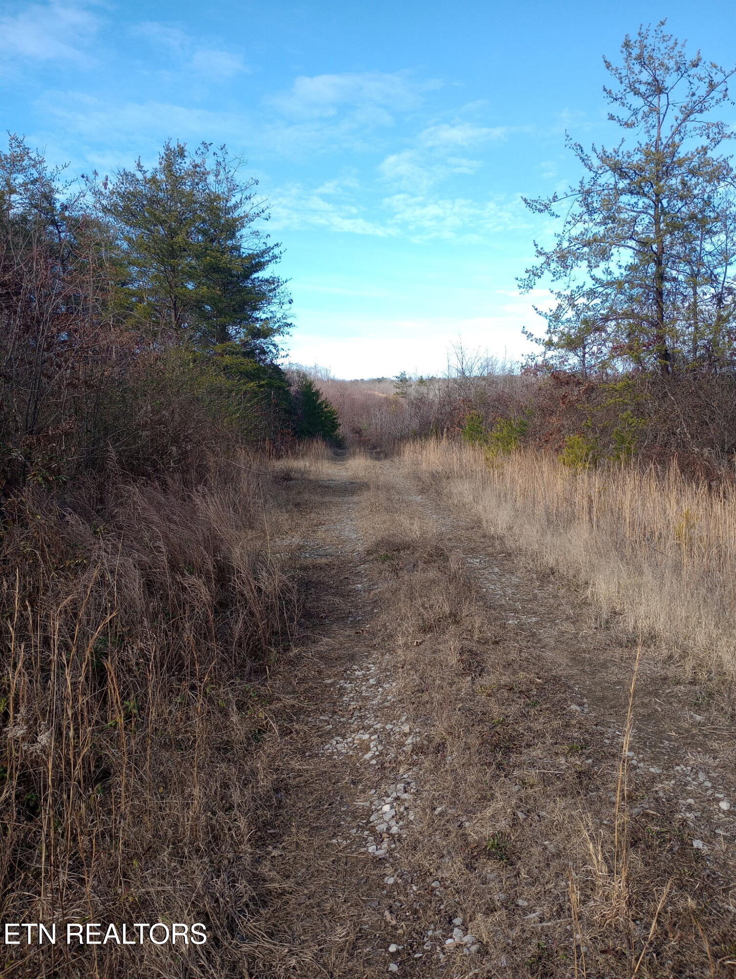 Allen Burgess Road Crossville TN 38572