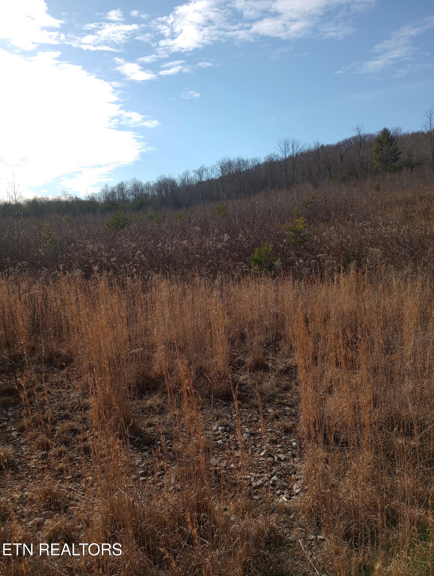 Allen Burgess Road Crossville TN 38572