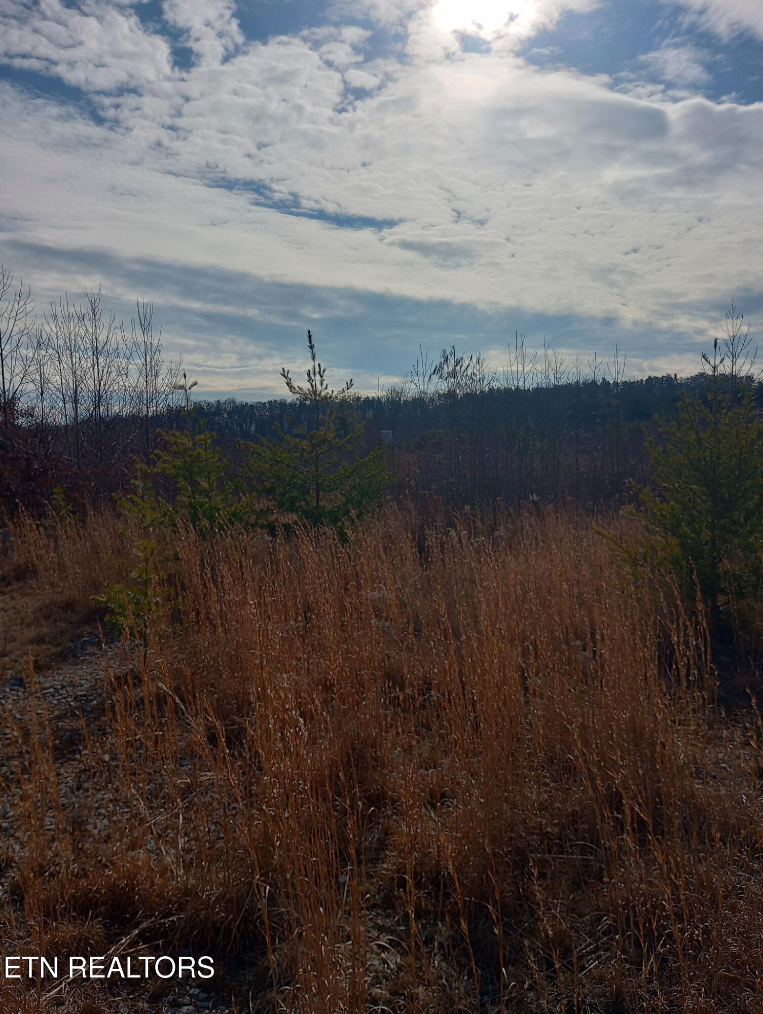 Allen Burgess Road Crossville TN 38572