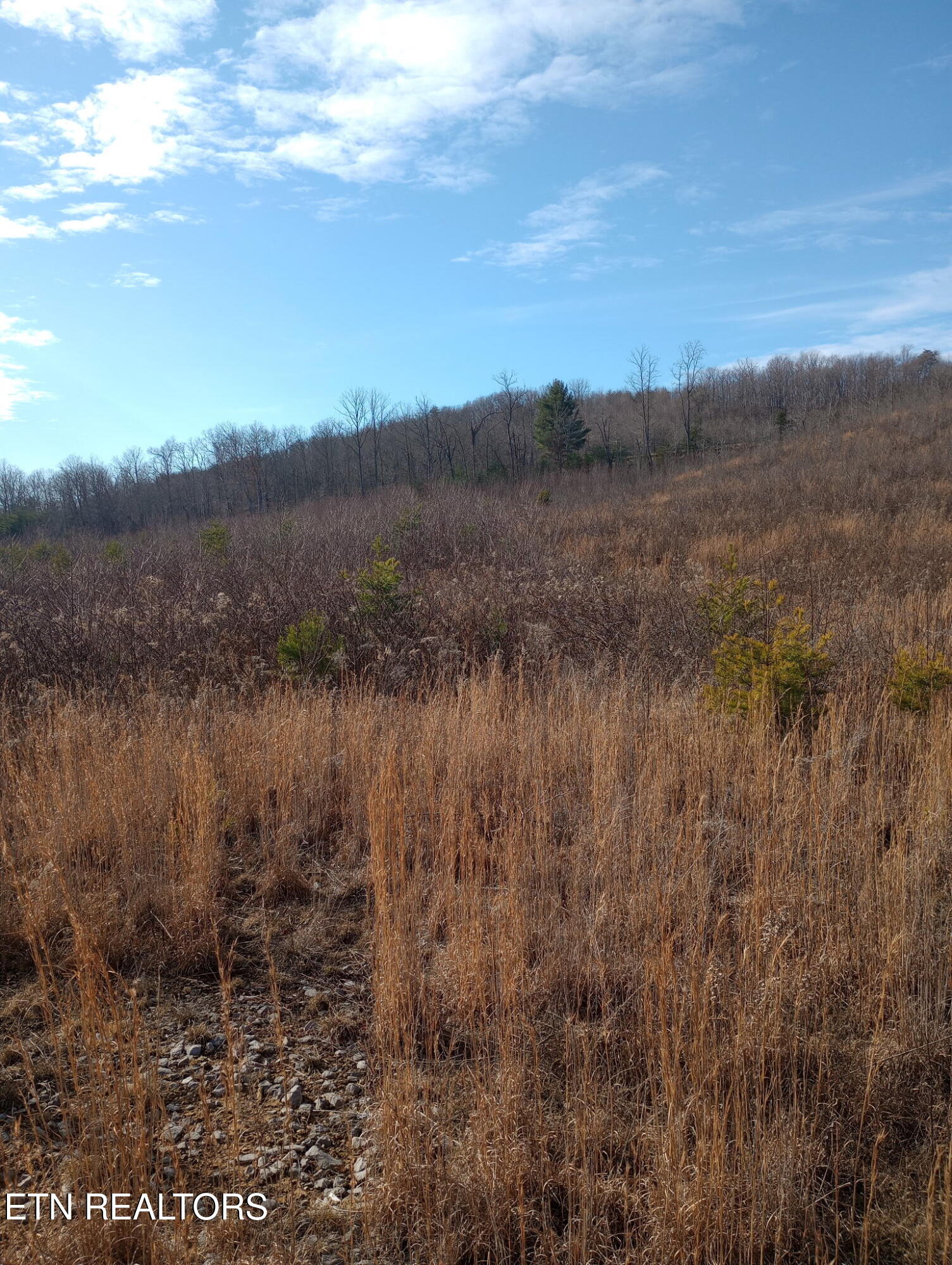 Allen Burgess Road Crossville TN 38572