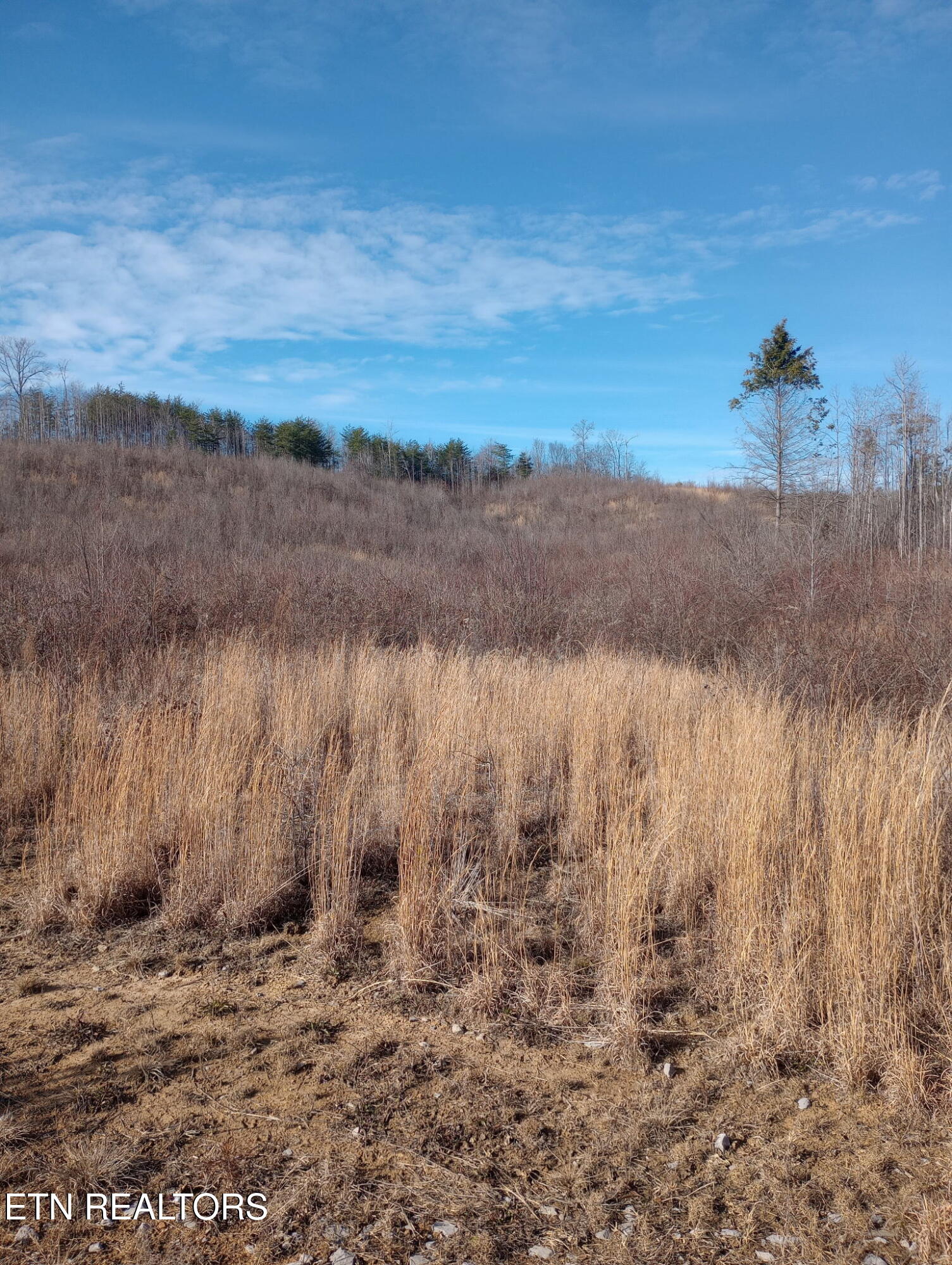 Allen Burgess Road Crossville TN 38572