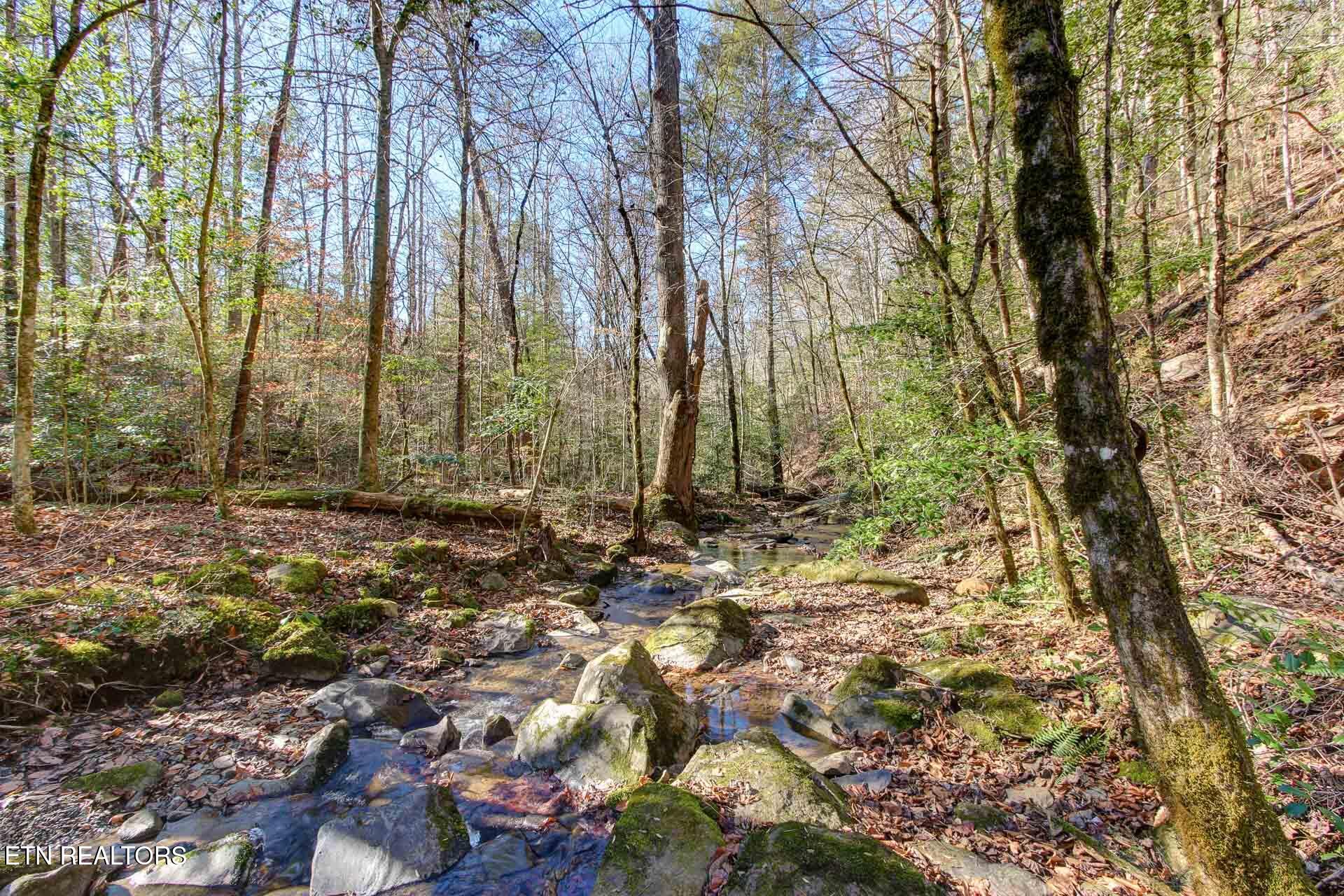 910 Windy Hill Way Cosby TN 37722