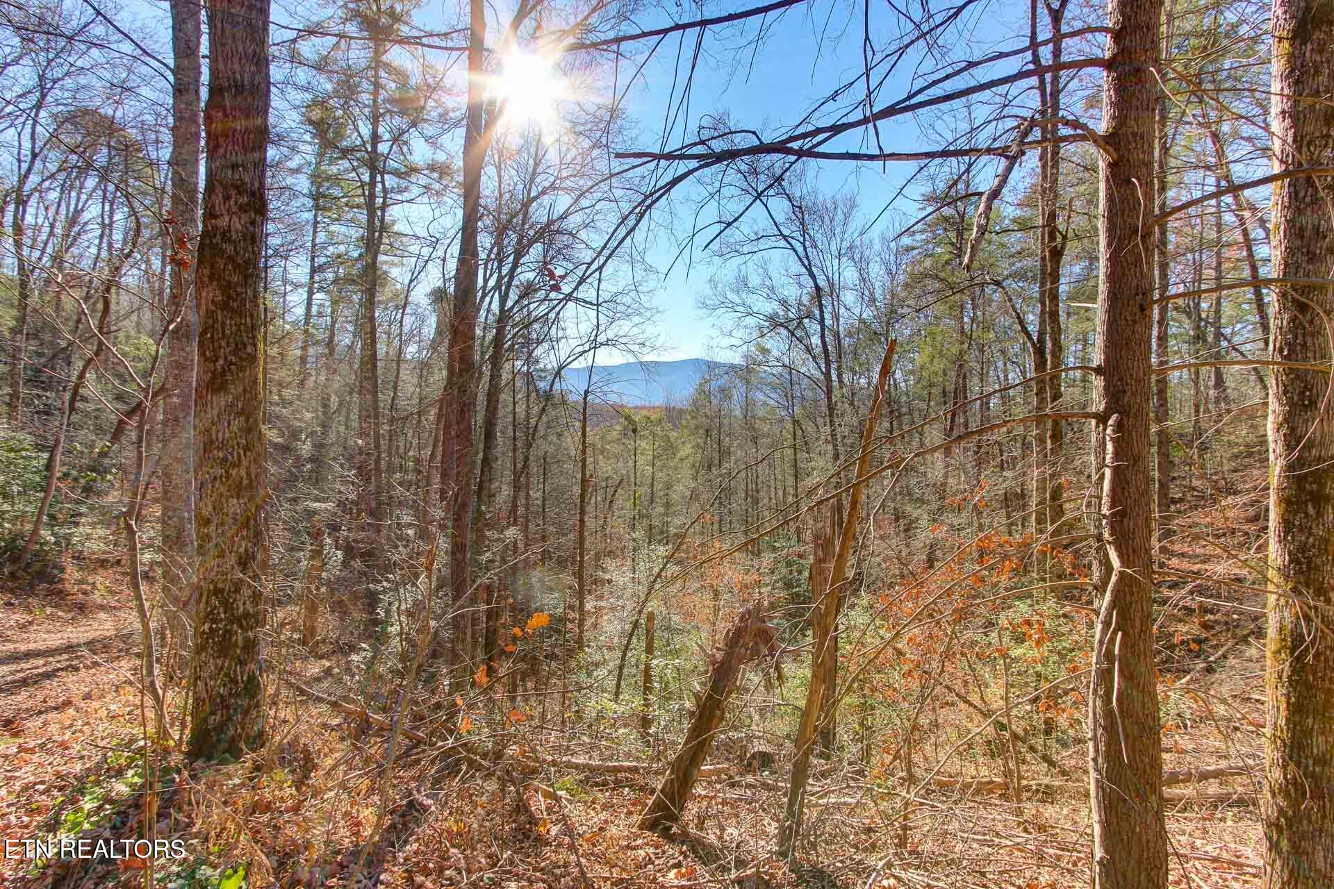 910 Windy Hill Way Cosby TN 37722