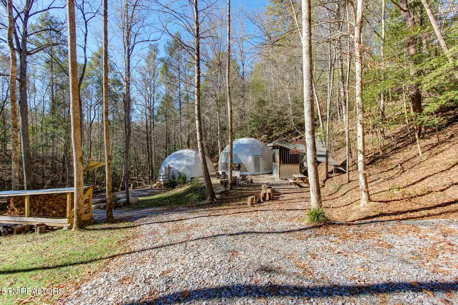 910 Windy Hill Way Cosby TN 37722