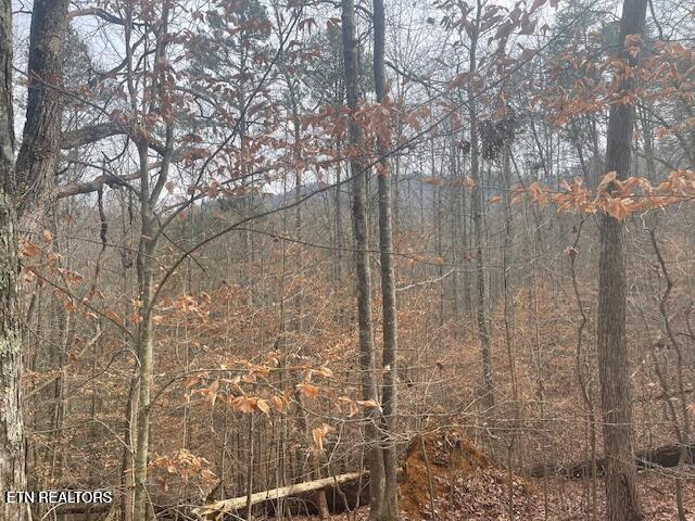 1008 Blair Loop Road Walland TN 37886