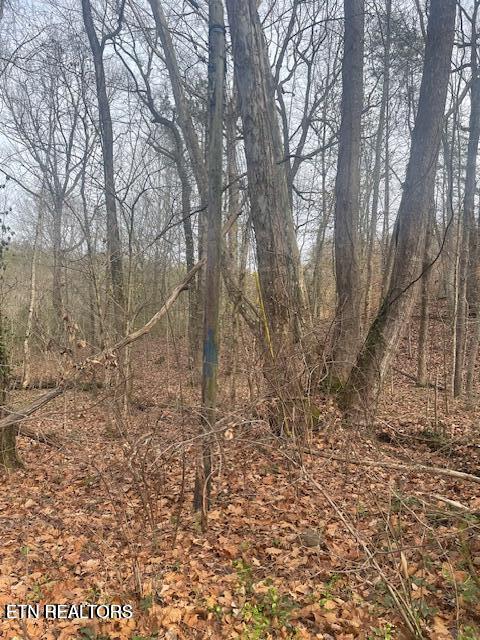 1008 Blair Loop Road Walland TN 37886