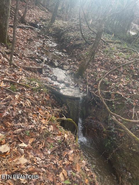 1008 Blair Loop Road Walland TN 37886