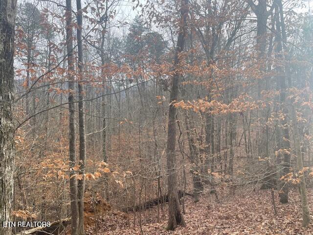 1008 Blair Loop Road Walland TN 37886