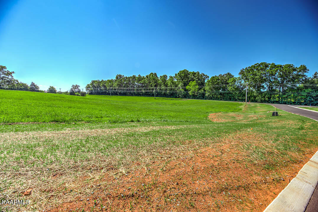 LOT1 802 Sophie Drive Greenback TN 37742
