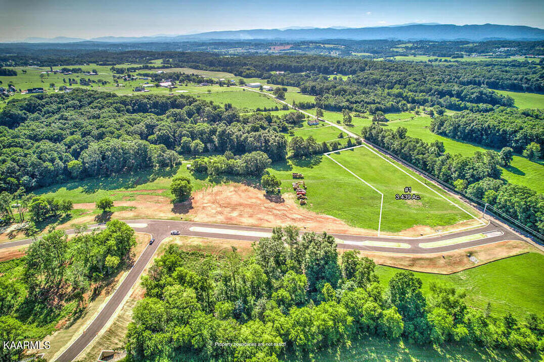 LOT1 802 Sophie Drive Greenback TN 37742