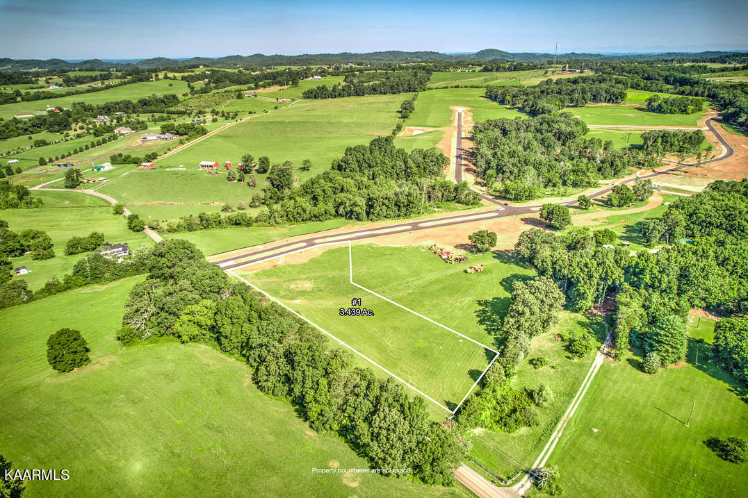 LOT1 802 Sophie Drive Greenback TN 37742