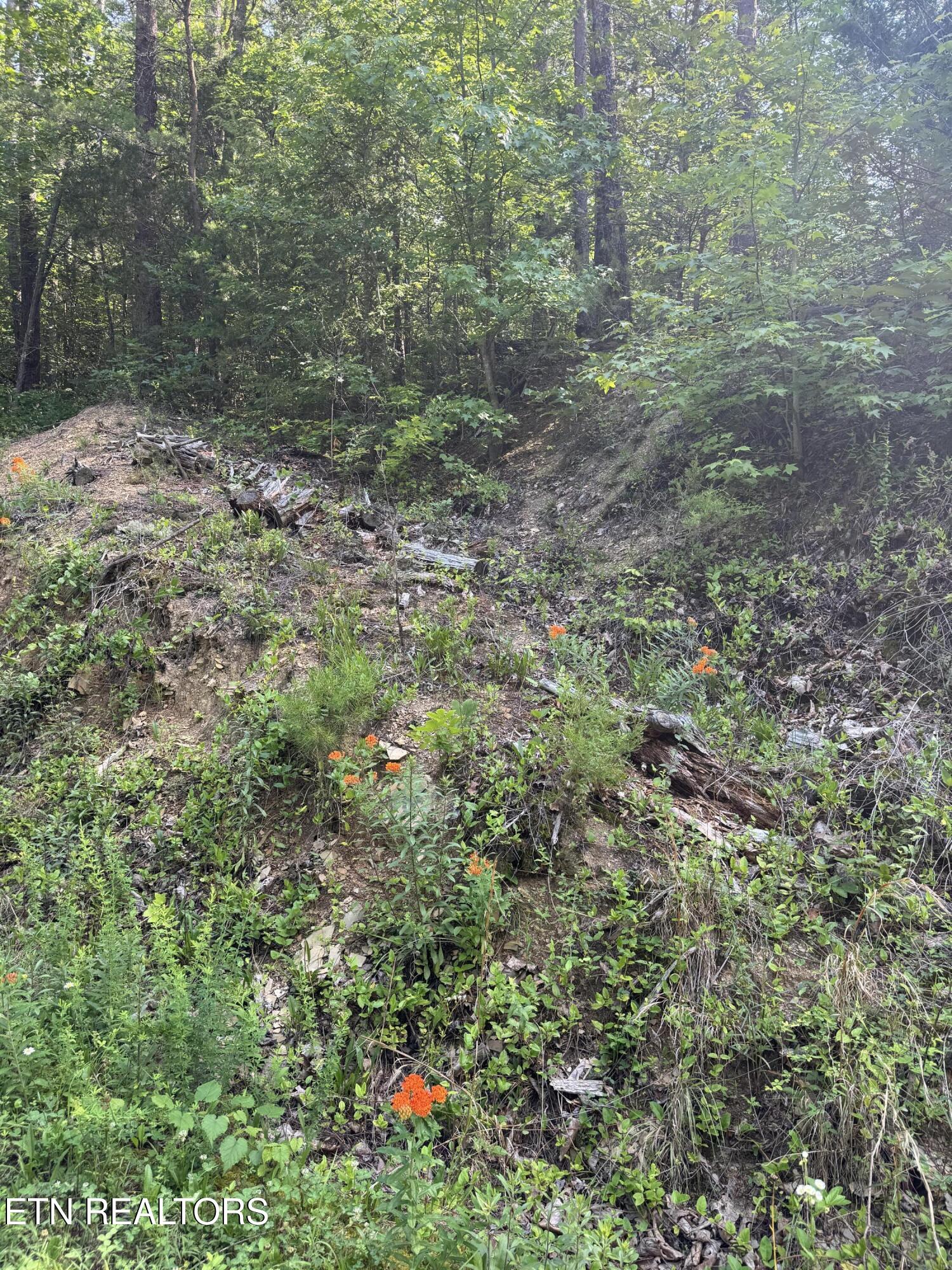 Lot 23 Walden Ridge Road Sevierville TN 37862
