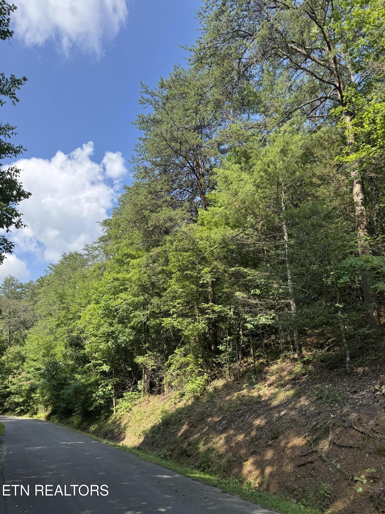 Lot 23 Walden Ridge Road Sevierville TN 37862