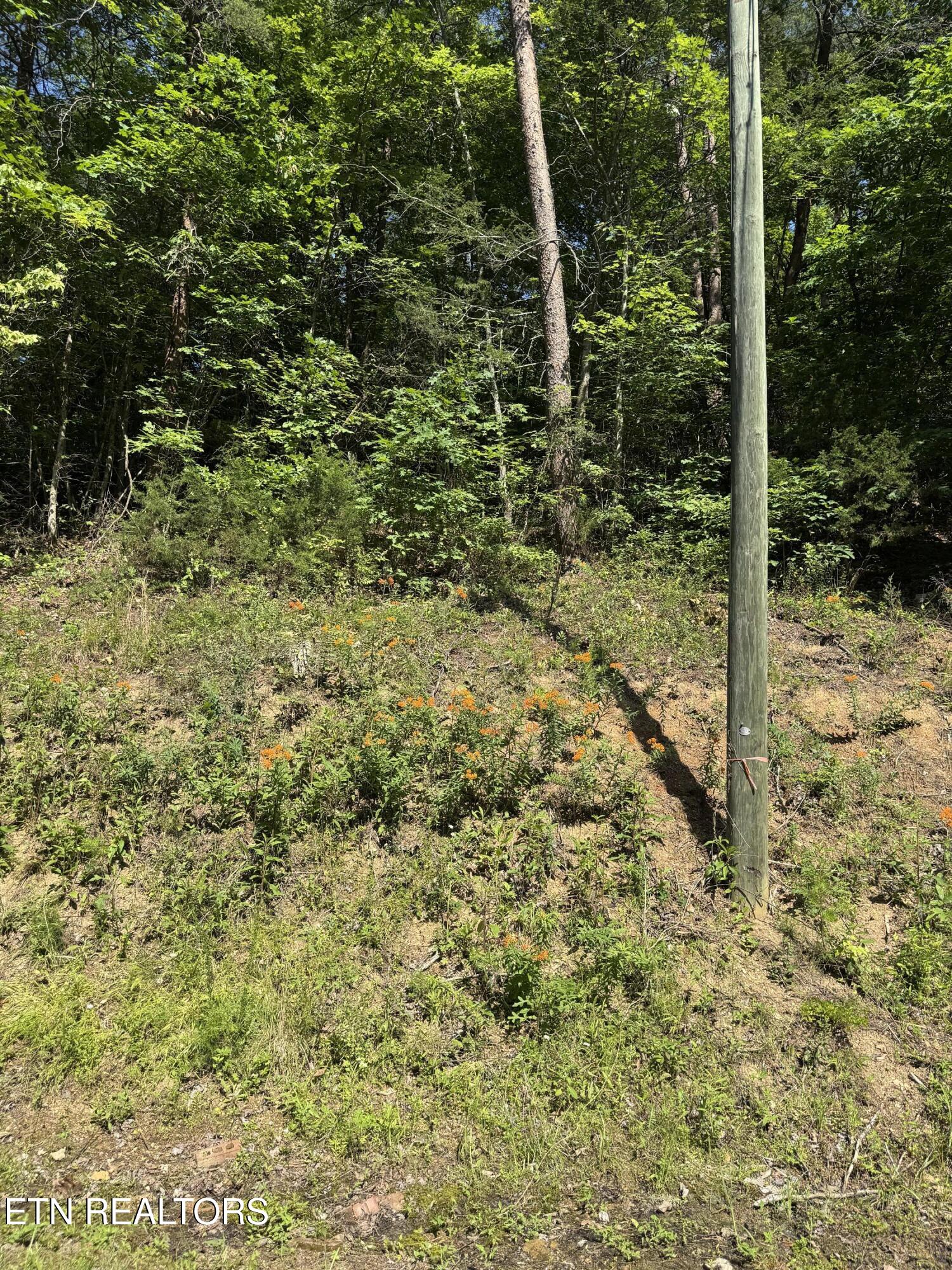 Lot 23 Walden Ridge Road Sevierville TN 37862