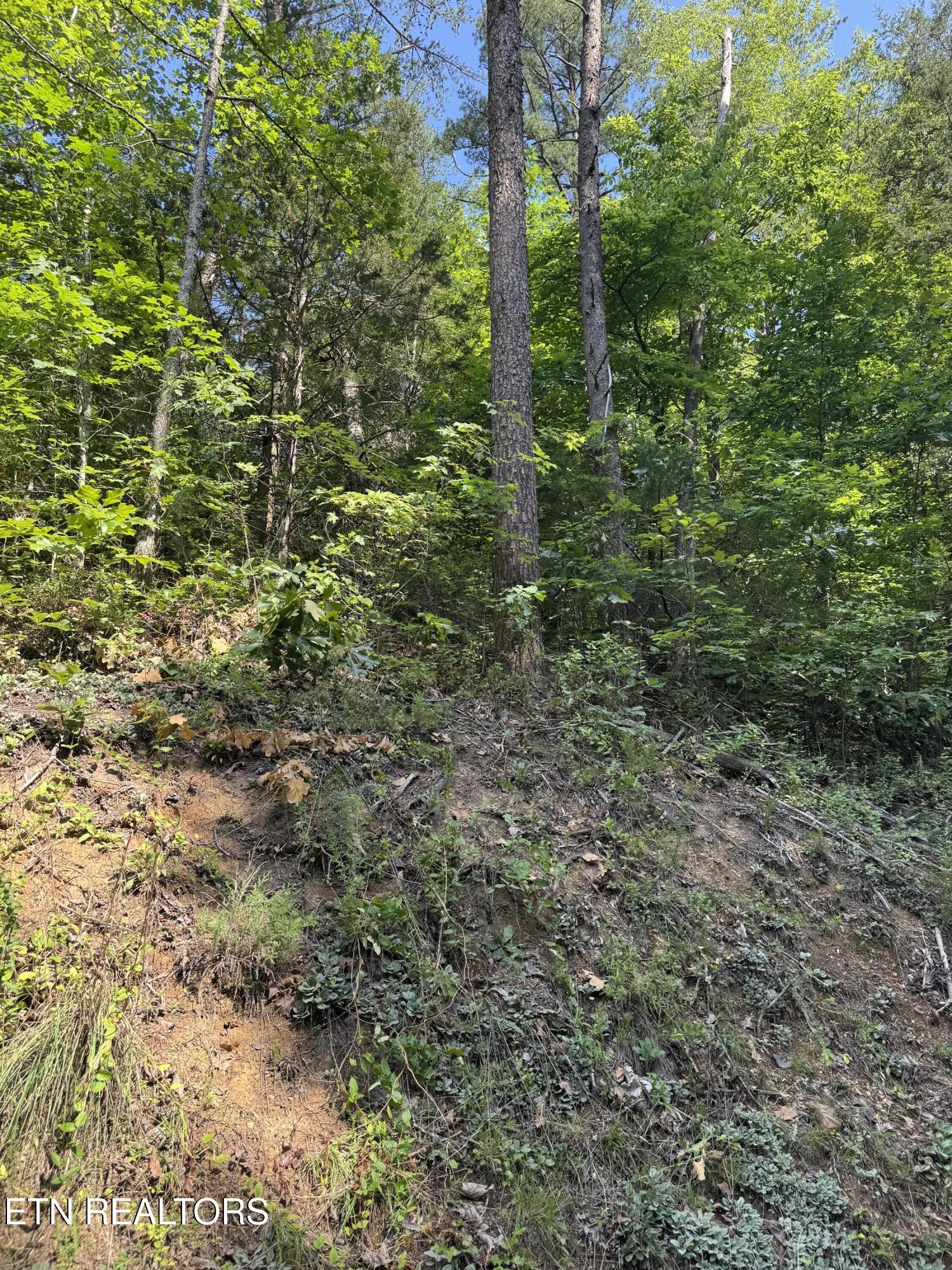 Lot 23 Walden Ridge Road Sevierville TN 37862