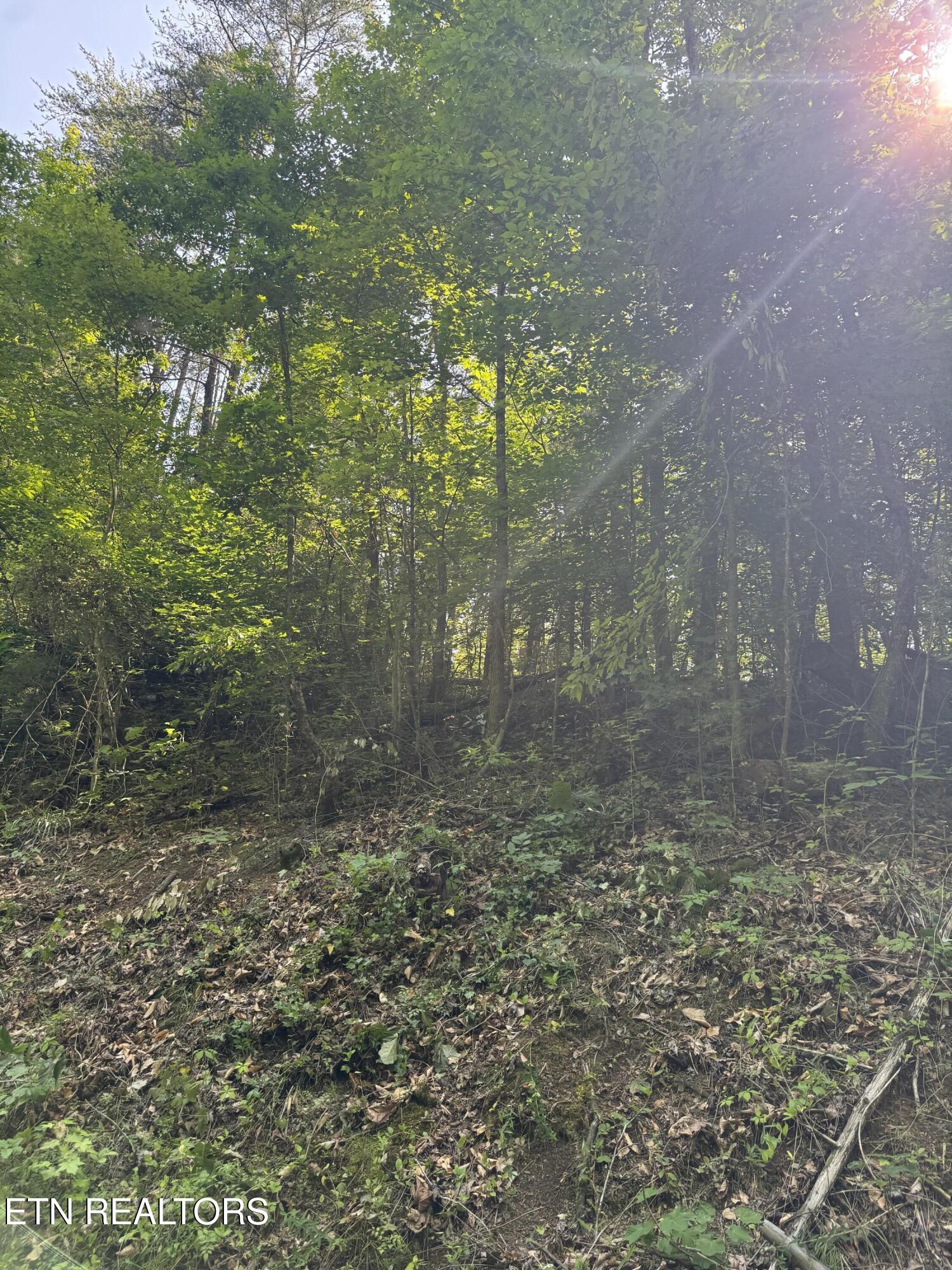 Lot 23 Walden Ridge Road Sevierville TN 37862