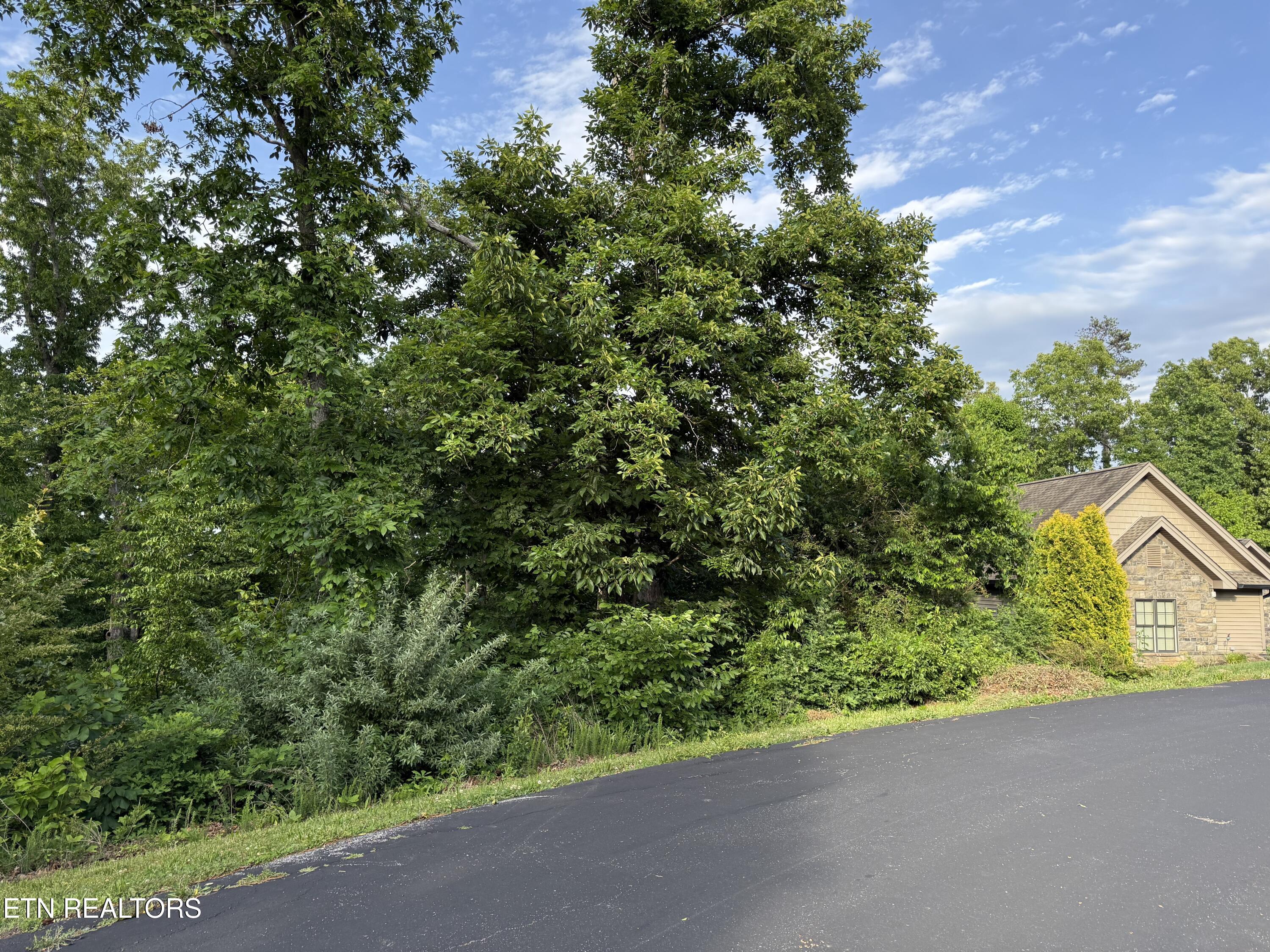 312 Skiatook Circle Loudon TN 37774