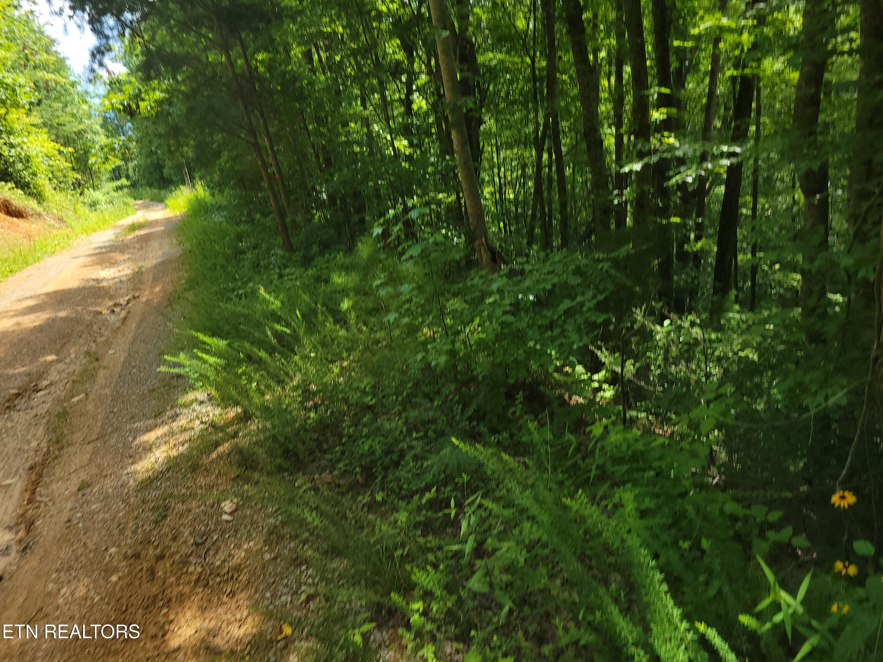 Lot 79 Yellowwood Drive Sevierville TN 37876