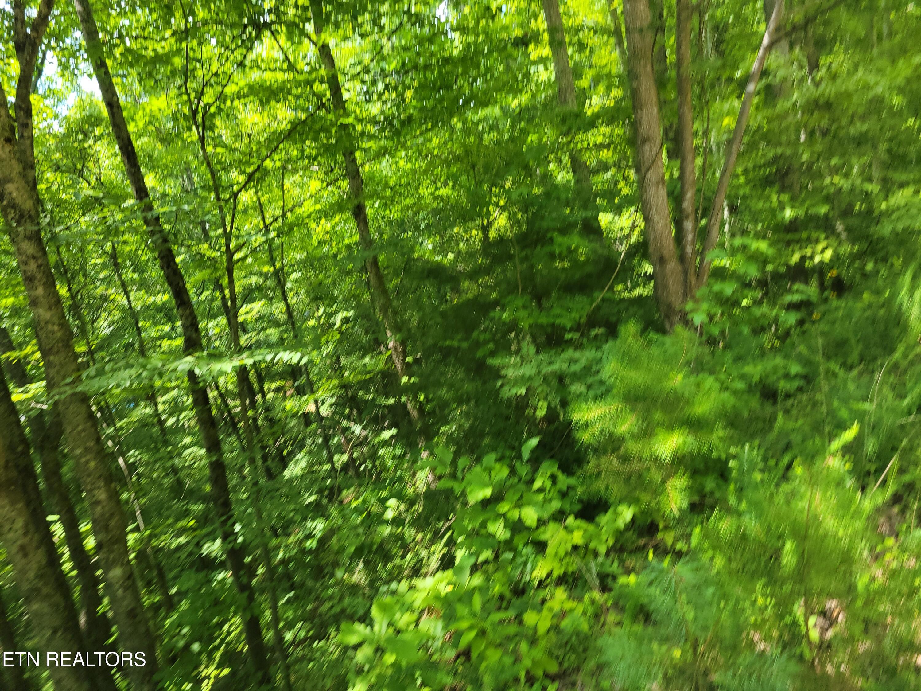 Lot 79 Yellowwood Drive Sevierville TN 37876