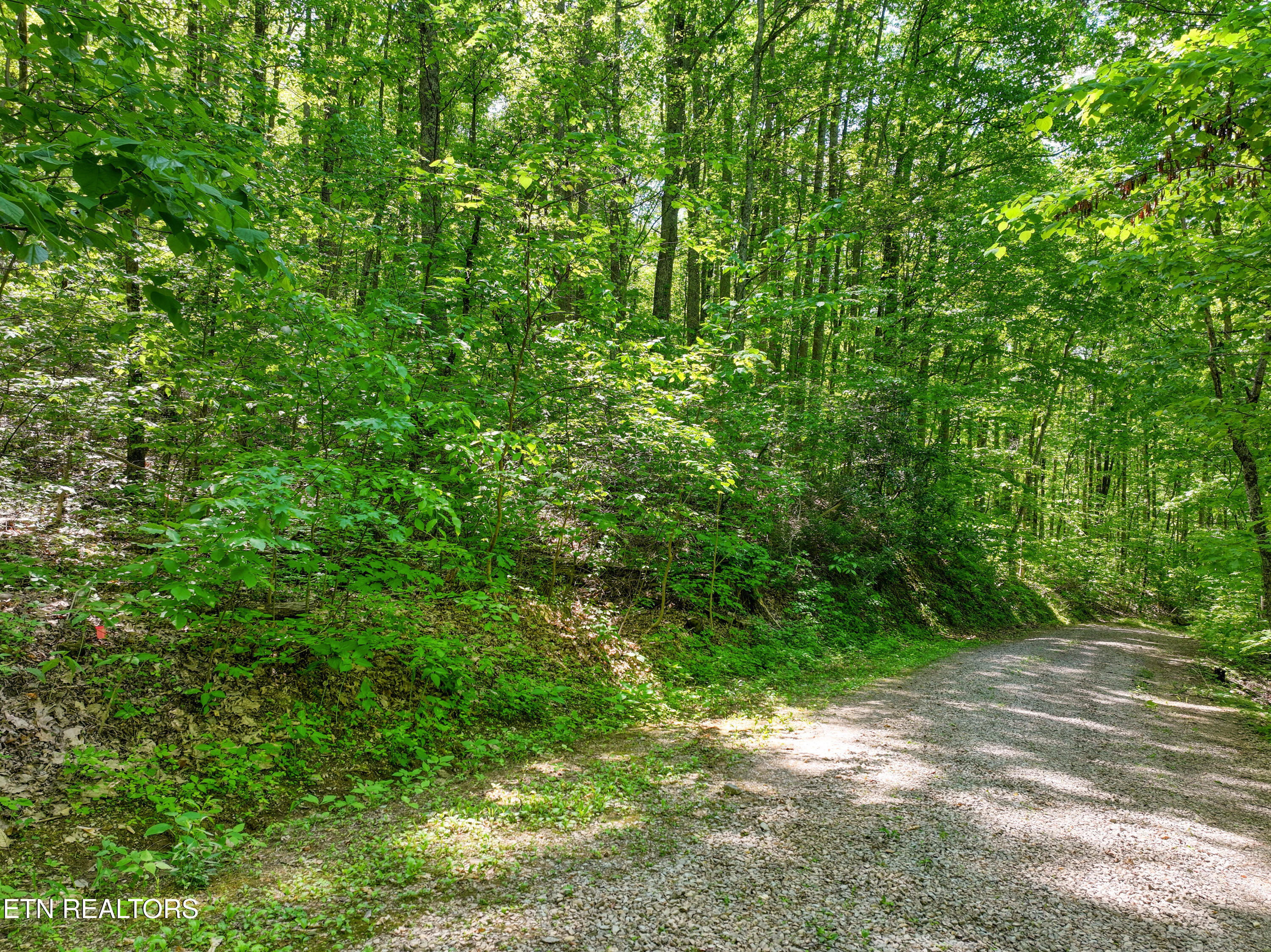 Lot 21 &22 Walden Cove Way Sevierville TN 37862