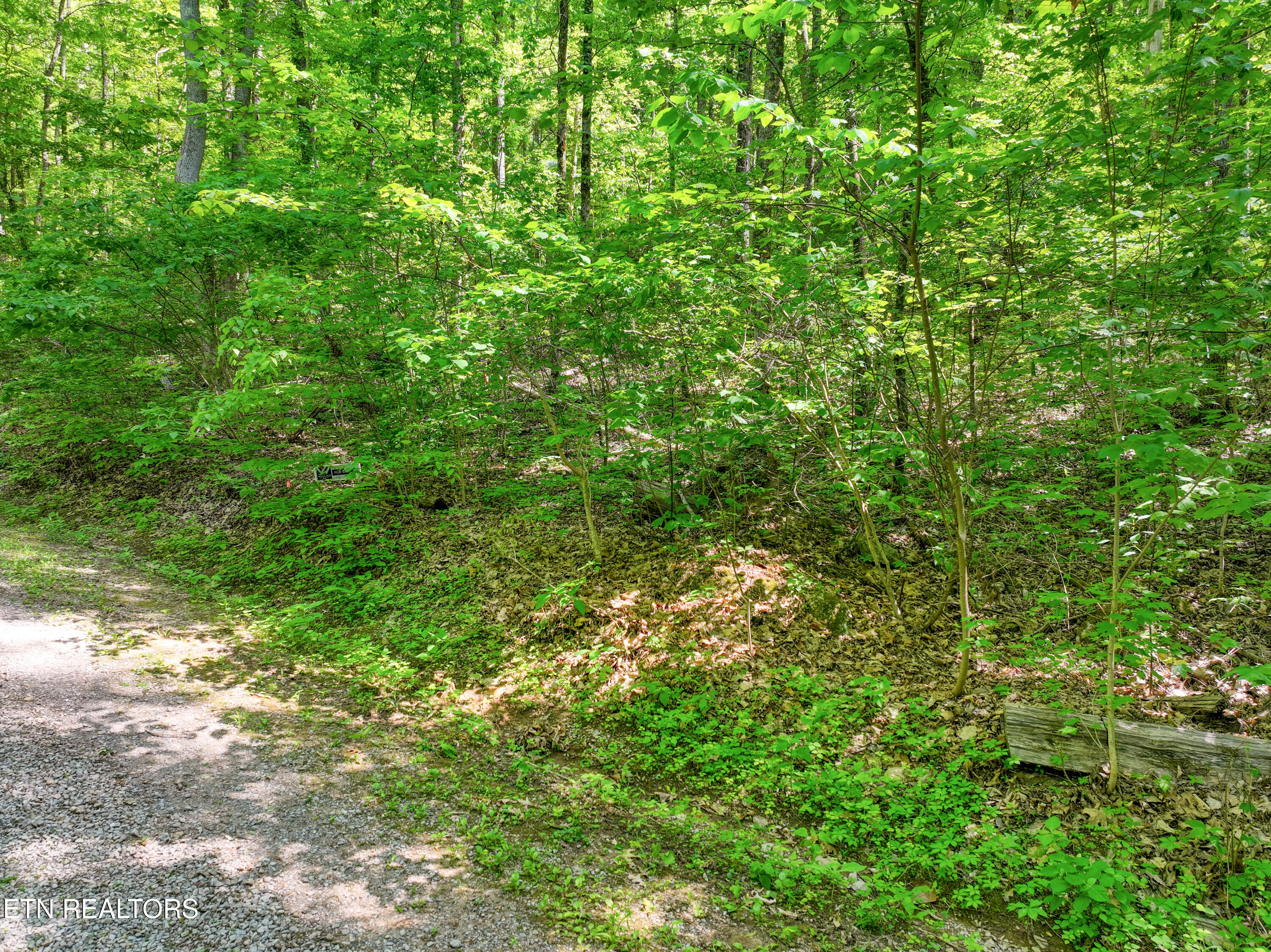 Lot 21 &22 Walden Cove Way Sevierville TN 37862