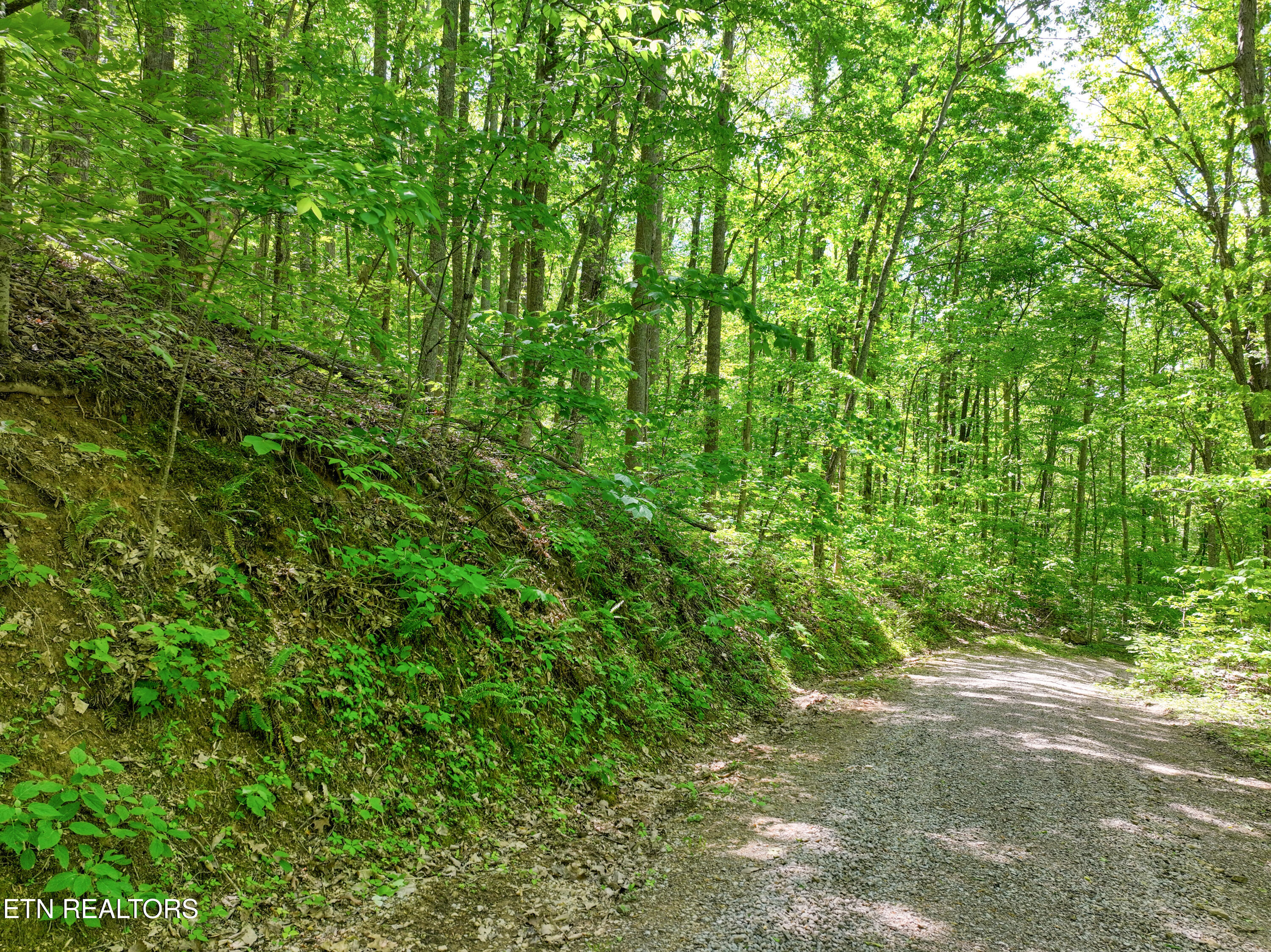 Lot 21 &22 Walden Cove Way Sevierville TN 37862