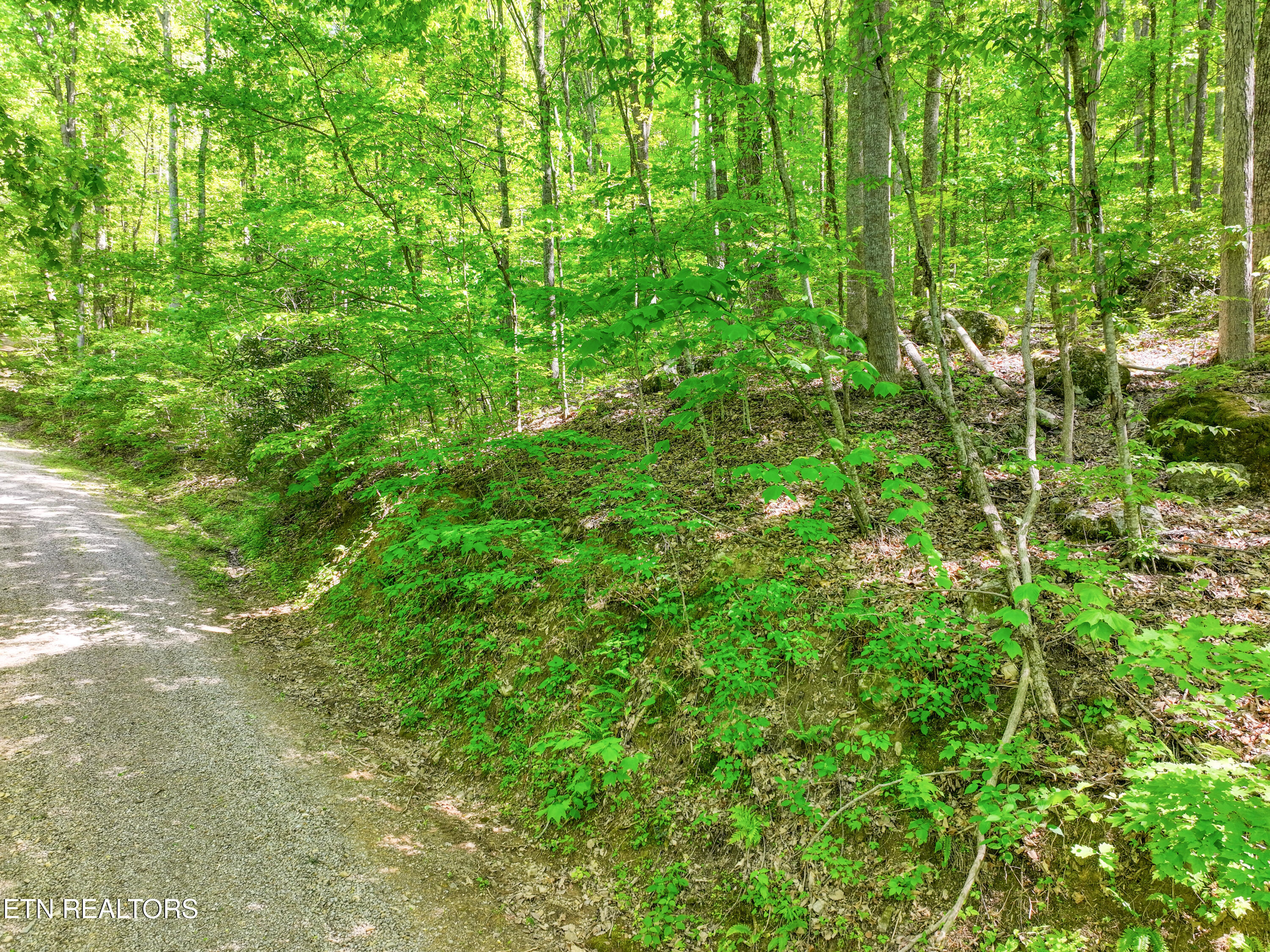 Lot 21 &22 Walden Cove Way Sevierville TN 37862