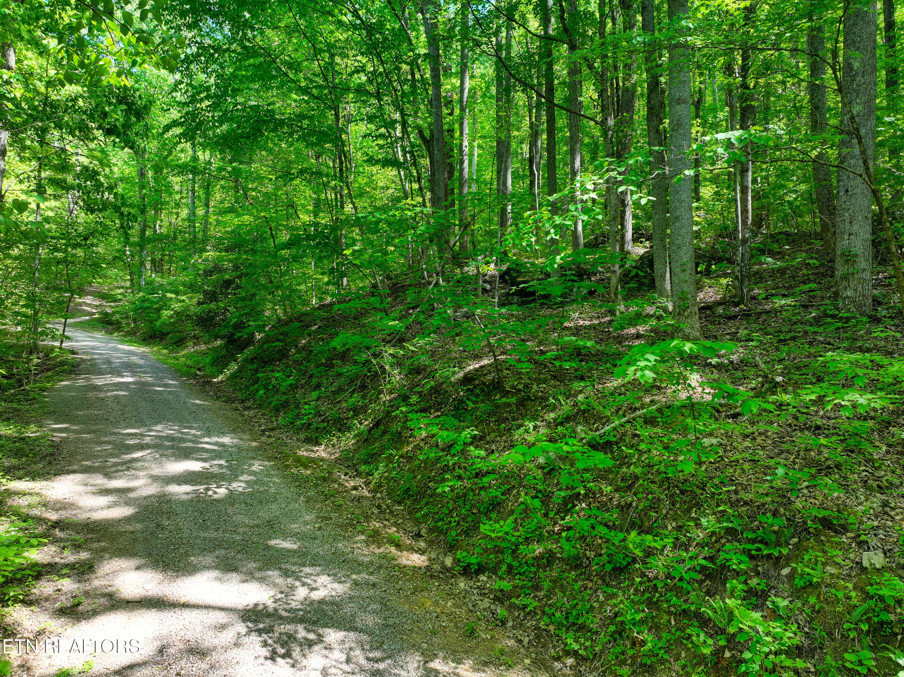 Lot 21 &22 Walden Cove Way Sevierville TN 37862
