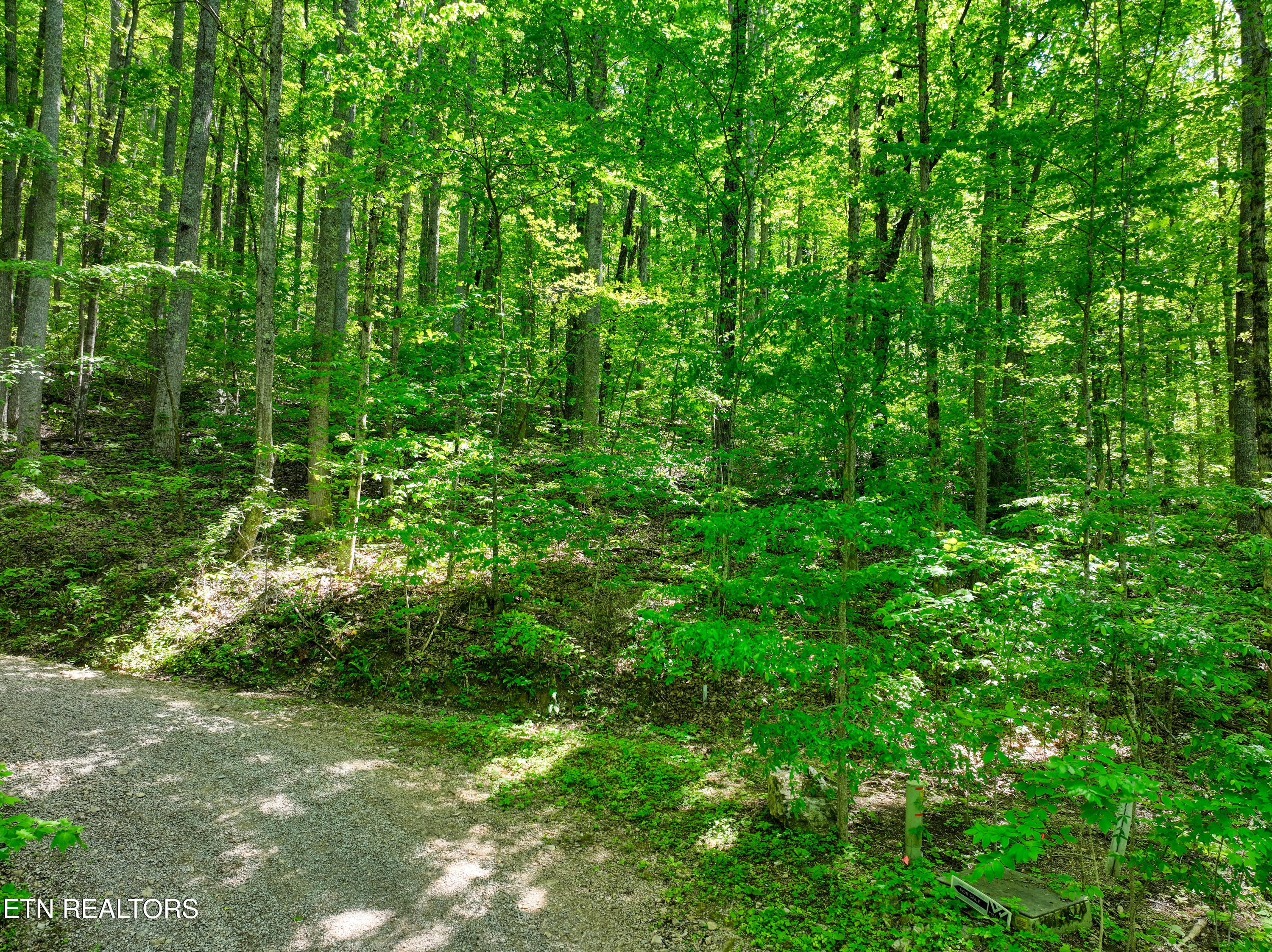 Lot 21 &22 Walden Cove Way Sevierville TN 37862