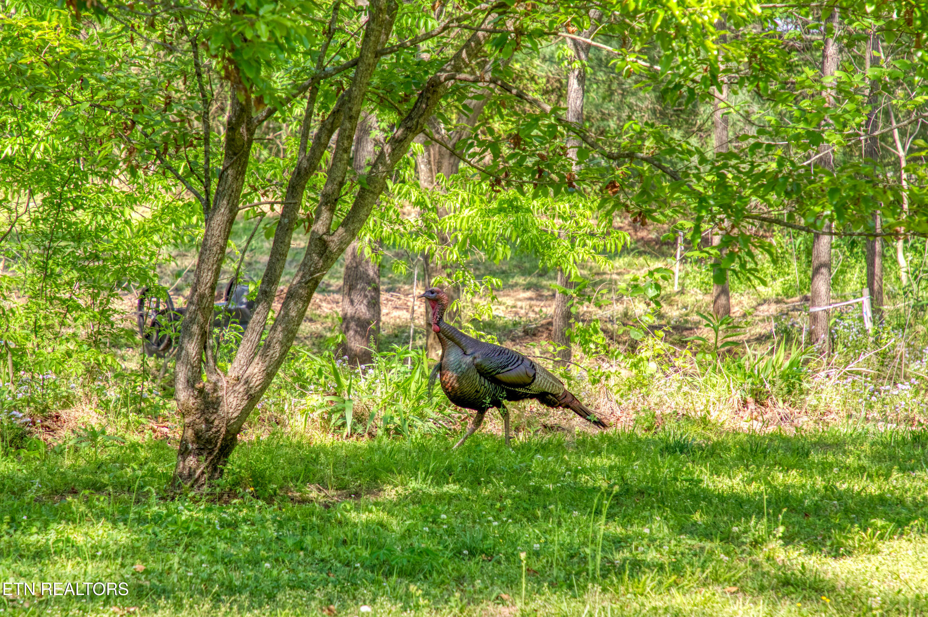 Lot 21 &22 Walden Cove Way Sevierville TN 37862
