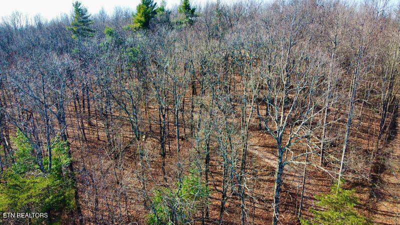 654 Briley Road Spring City TN 37381