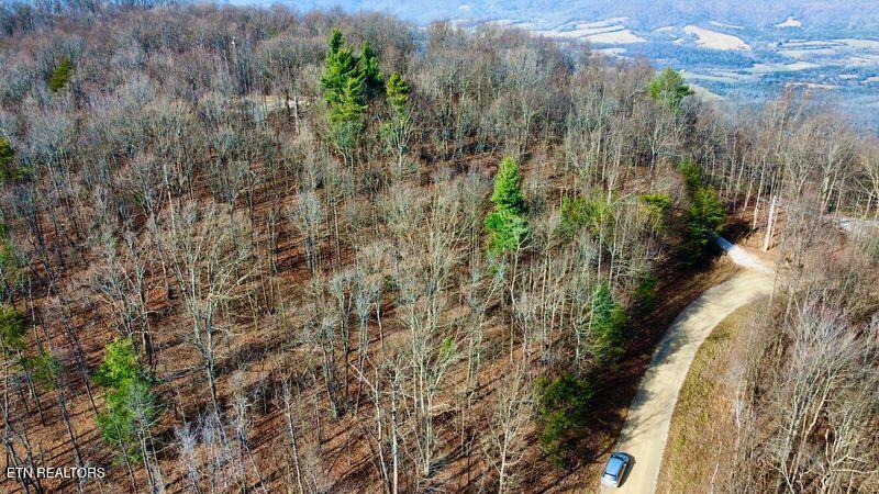 654 Briley Road Spring City TN 37381