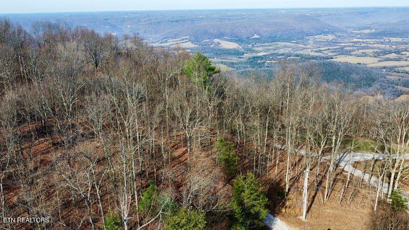 654 Briley Road Spring City TN 37381