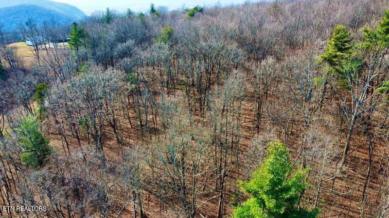 654 Briley Road Spring City TN 37381