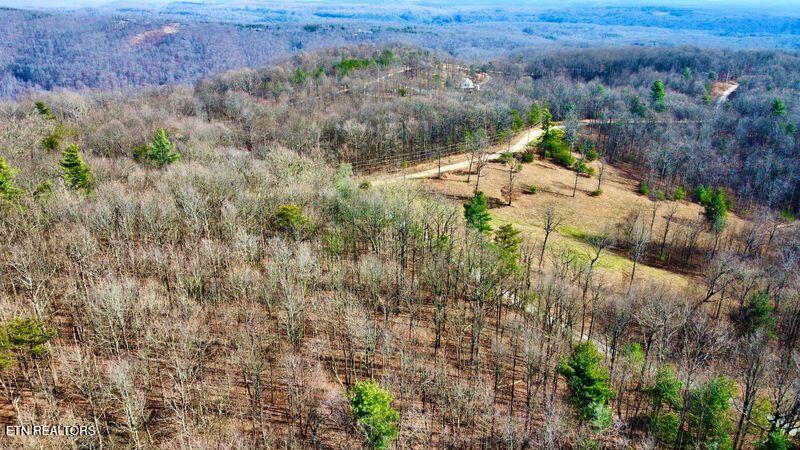 654 Briley Road Spring City TN 37381